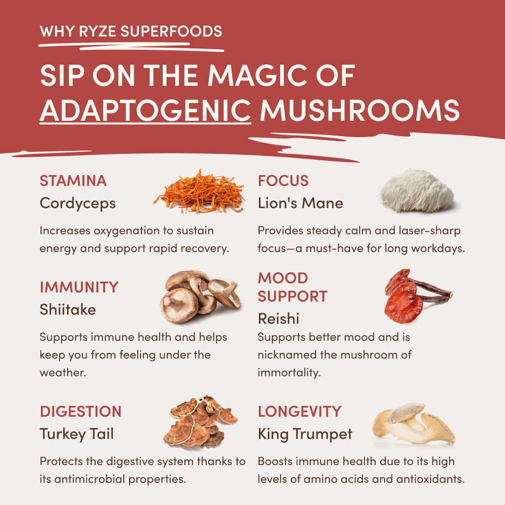 RYZE Mushroom Chai Starter Bag Y0