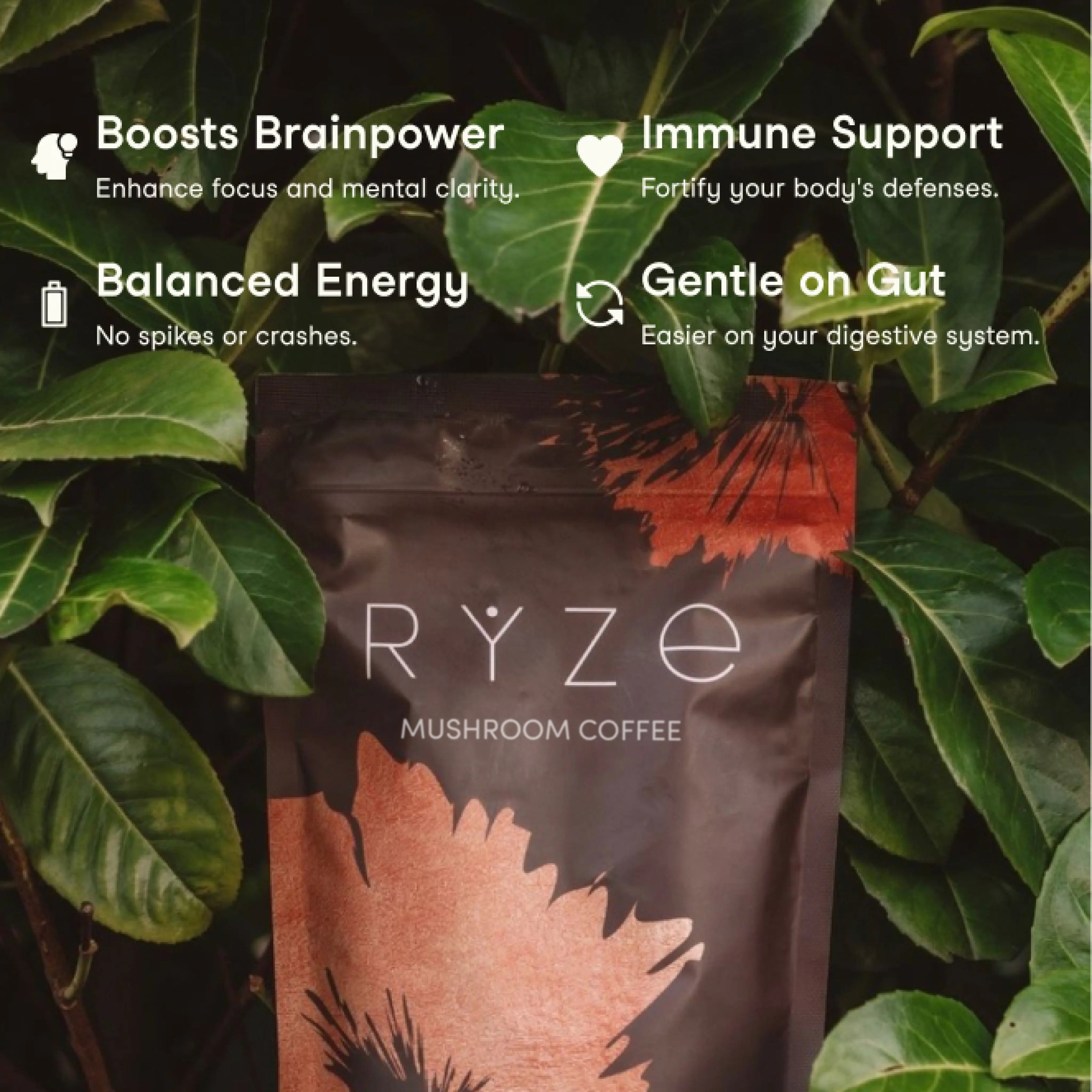 RYZE Mushroom Coffee — Organic Instant Coffee with Cordyceps & Reishi, 30 Servings D4