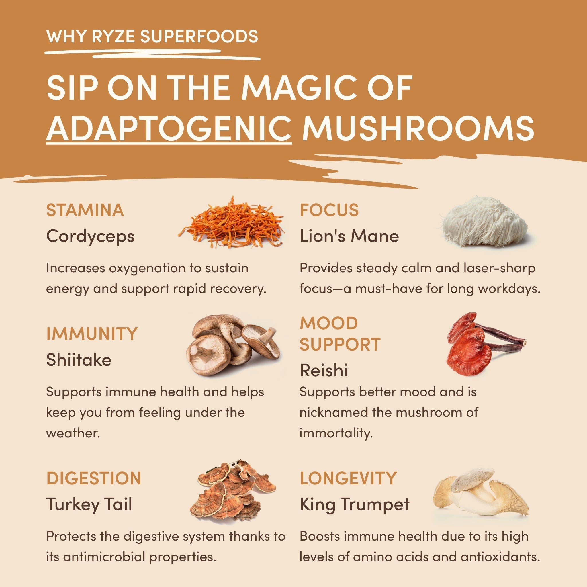 Mushroom Overnight Oats (14 Servings) B6