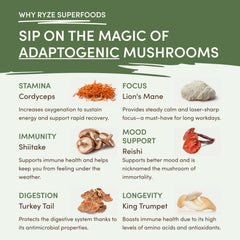 RYZE Mushroom Matcha — Organic Instant Matcha Latte with Lion's Mane & King Trumpet, 30 Servings O3
