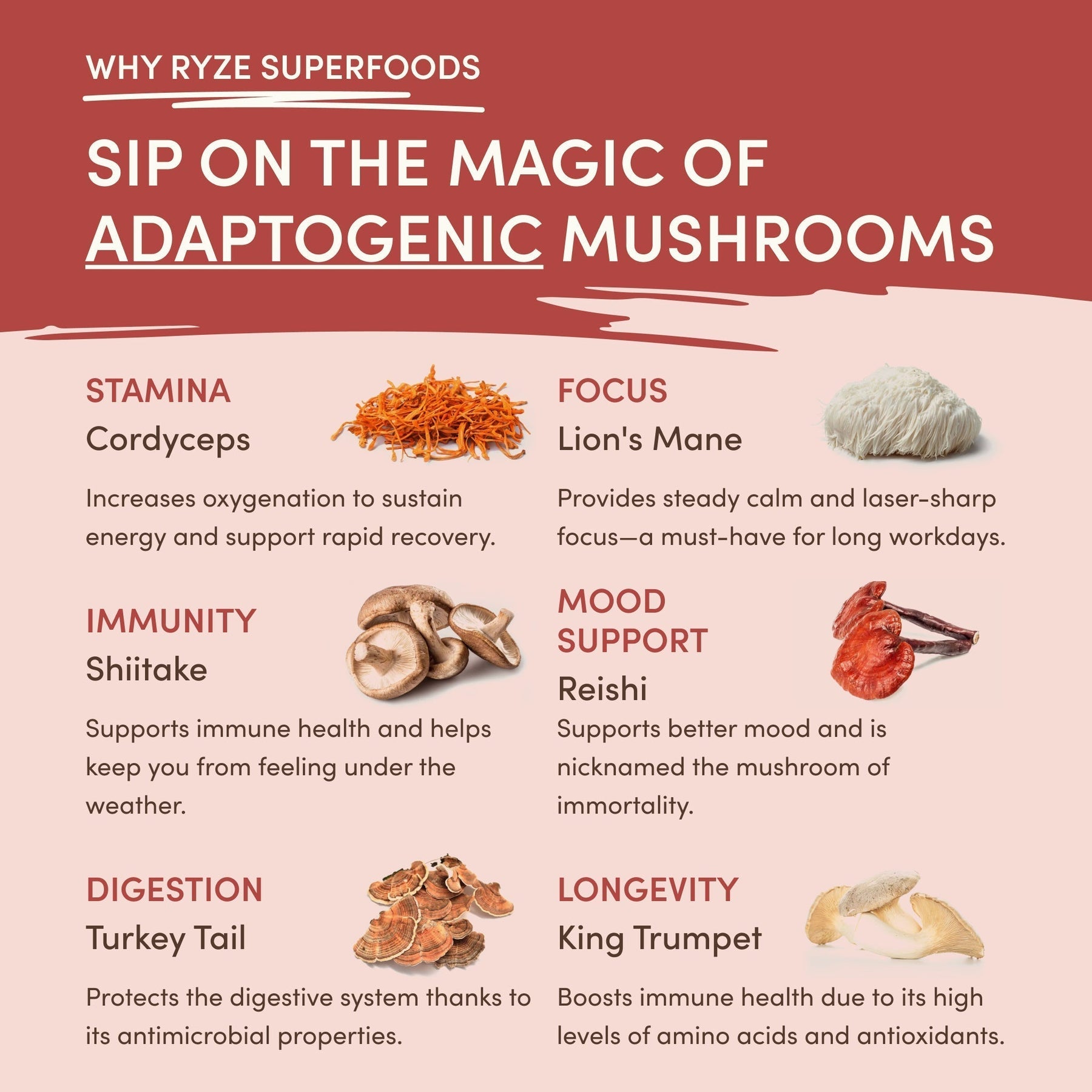 RYZE Mushroom Chai — Organic Instant Chai with Reishi & Organic Black Tea, 20 Servings J1