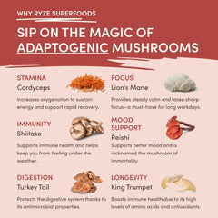 RYZE Mushroom Chai — Organic Instant Chai with Reishi & Organic Black Tea, 20 Servings J1