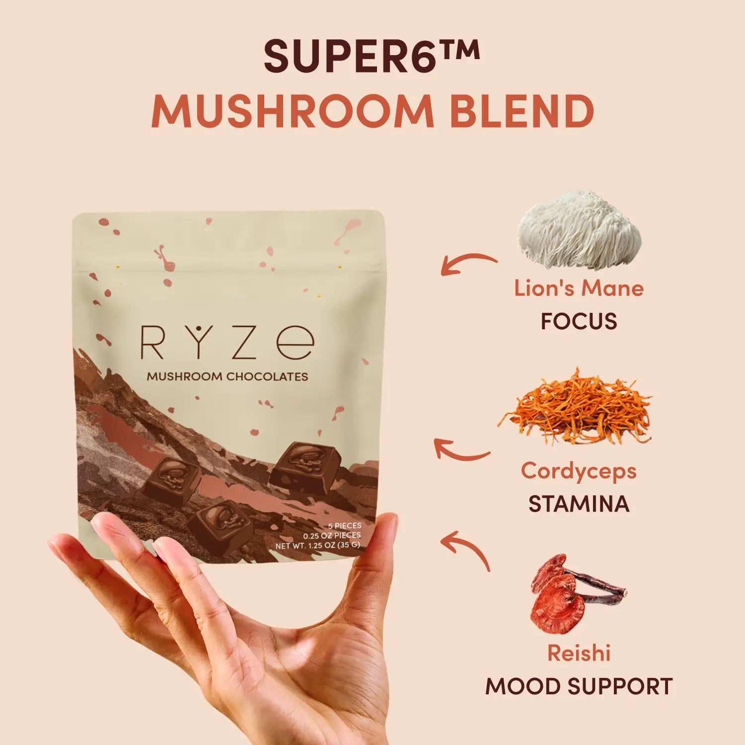 Mushroom Chocolates Rye (15 pieces) K0