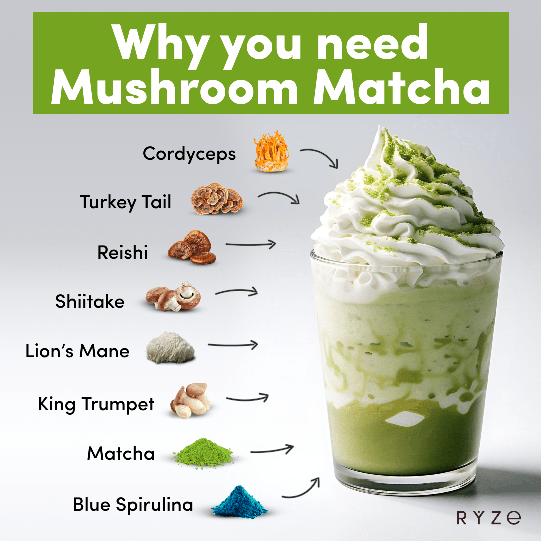 RYZE Organic Mushroom Matcha Starter Kit (60 servings) A8