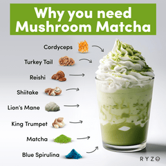RYZE Organic Mushroom Matcha Starter Kit (60 servings) U8