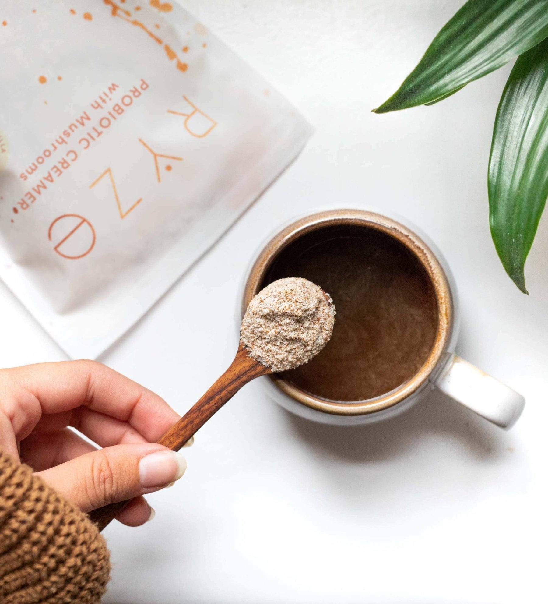 Try our Probiotic Creamer for 50% OFF! E4