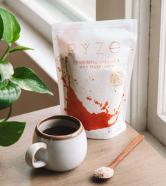 Try our Probiotic Creamer for 50% OFF! E4